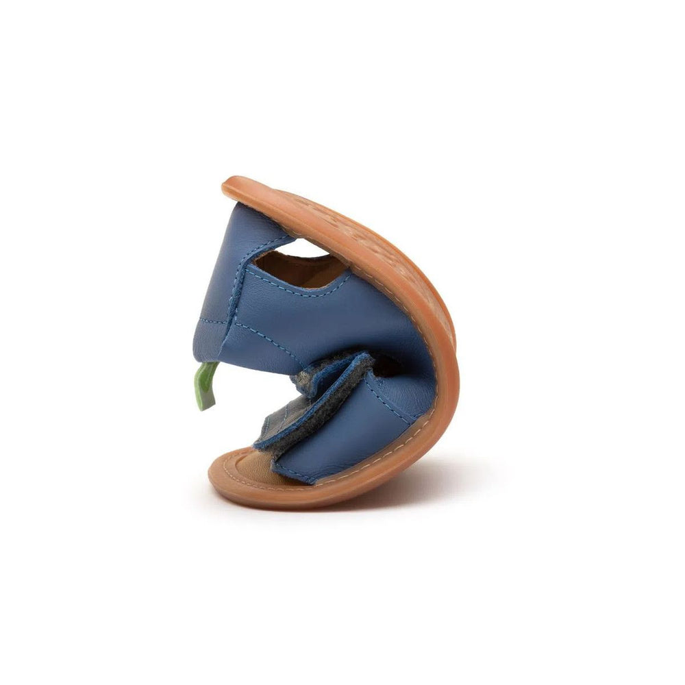 Tip Toey Joey Primeiros Sleeky Blue Tang
