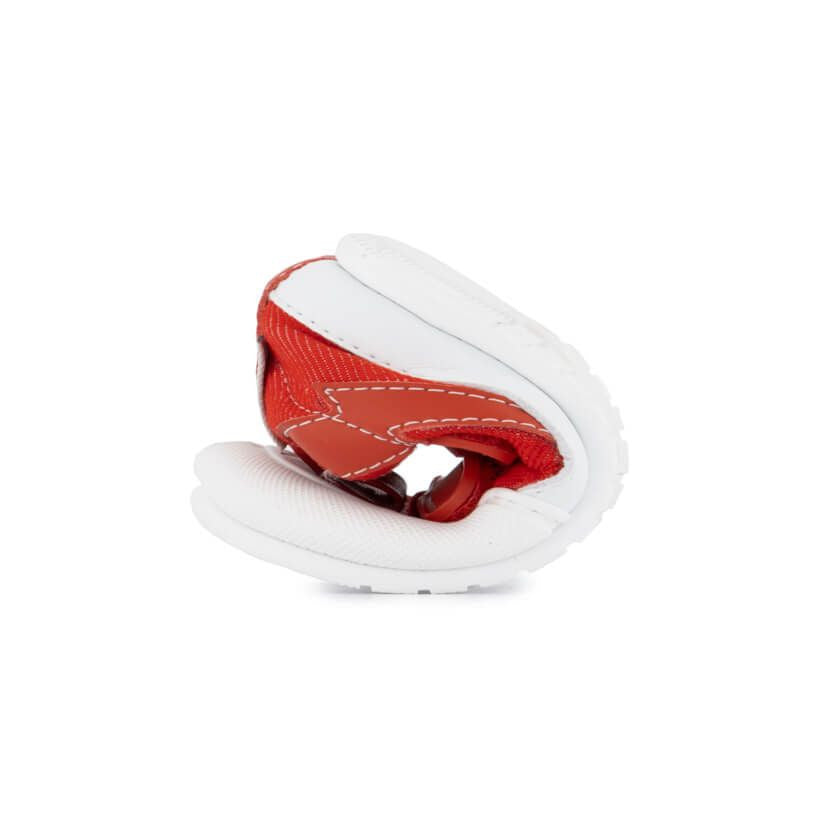 Zapato Feroz Feroz Moraira Rayo Rojo