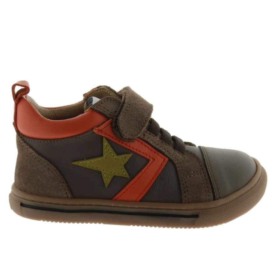 Acebos Barefoot Star Root
