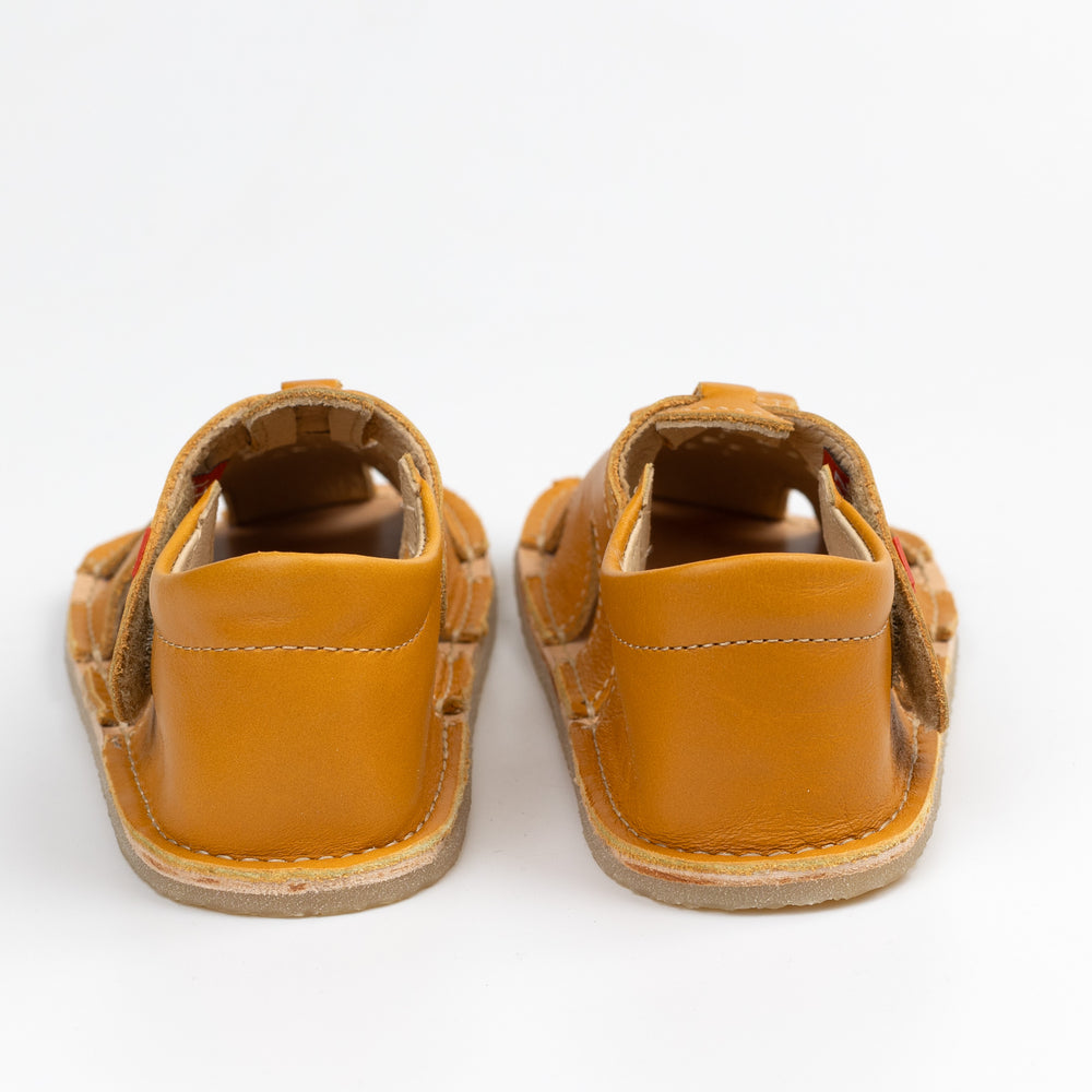 Lang.s Tikki Aranya Ocre