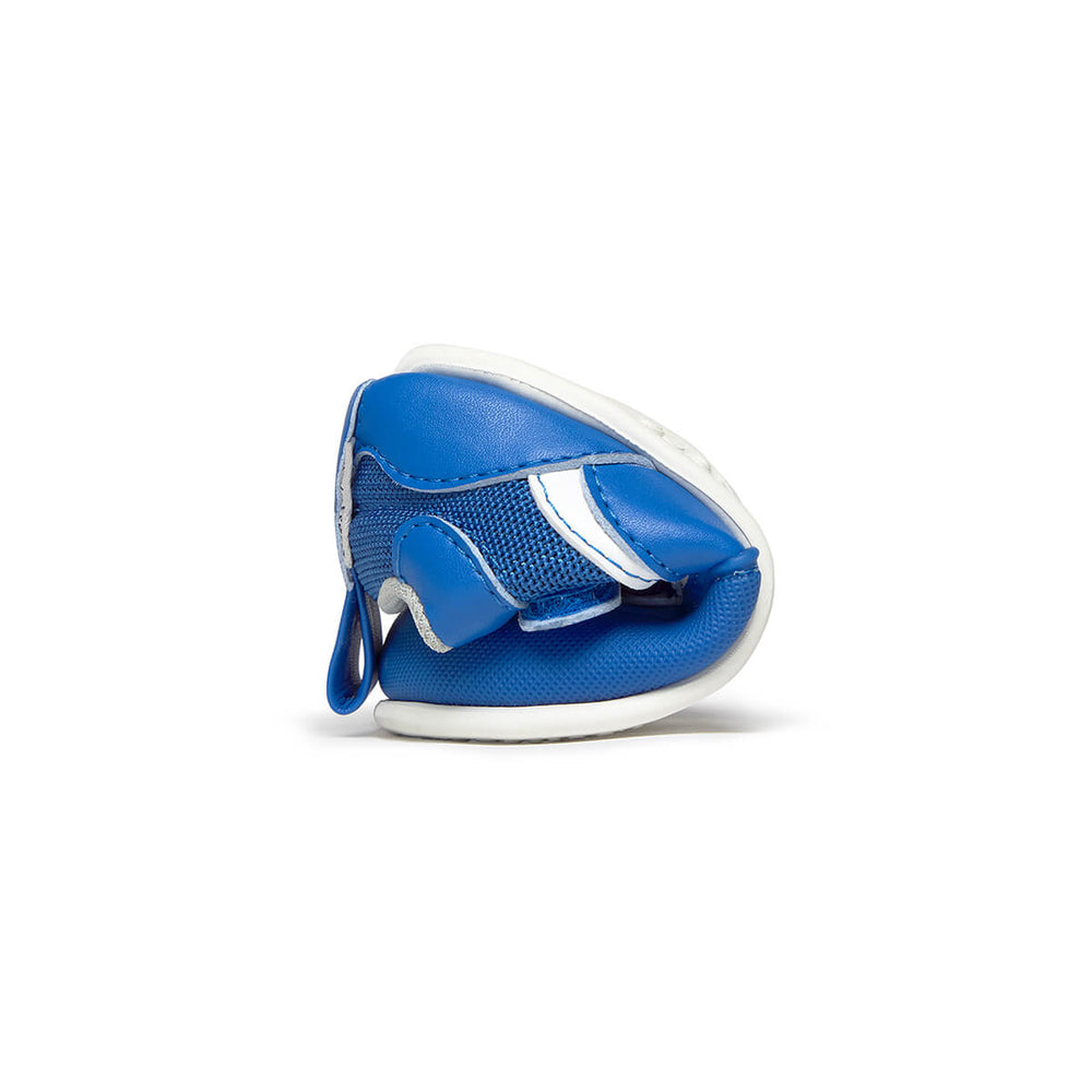 Zapato Feroz Féroces Biar Azul Royal