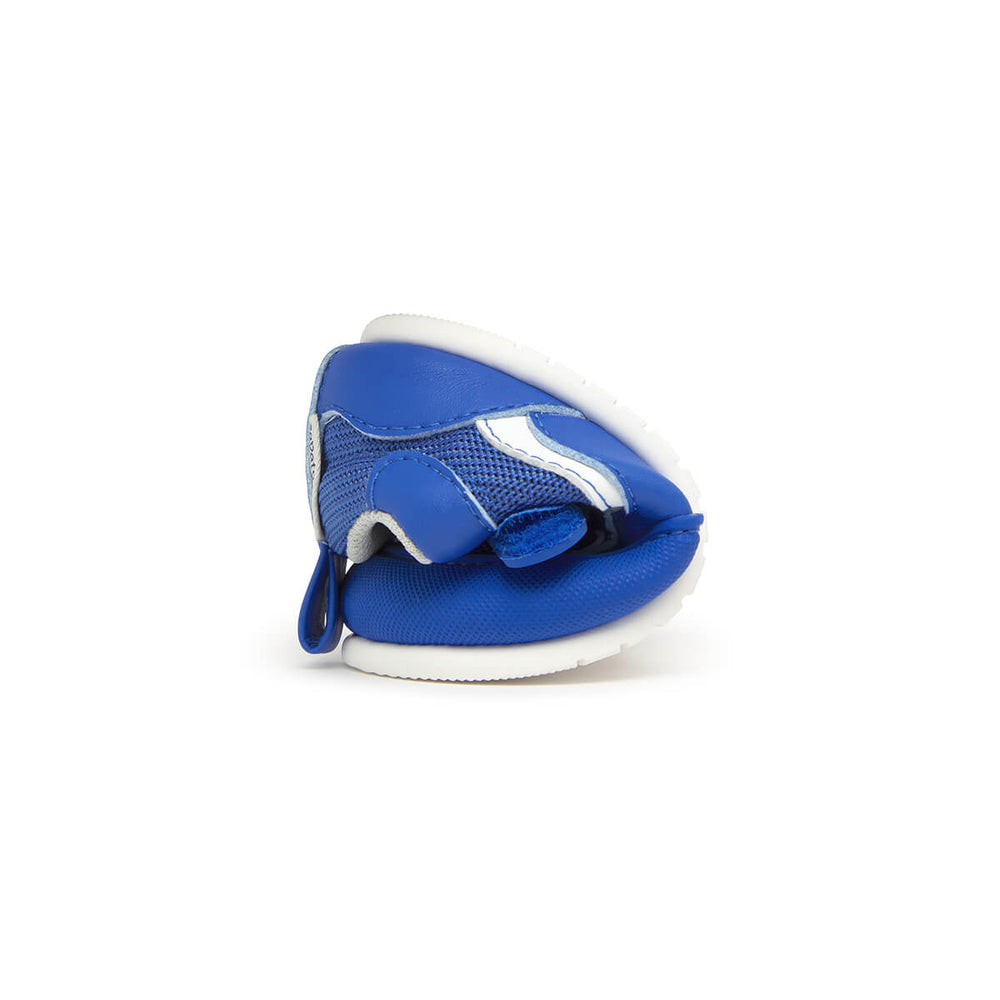 Zapato Feroz Biar Azul Royal