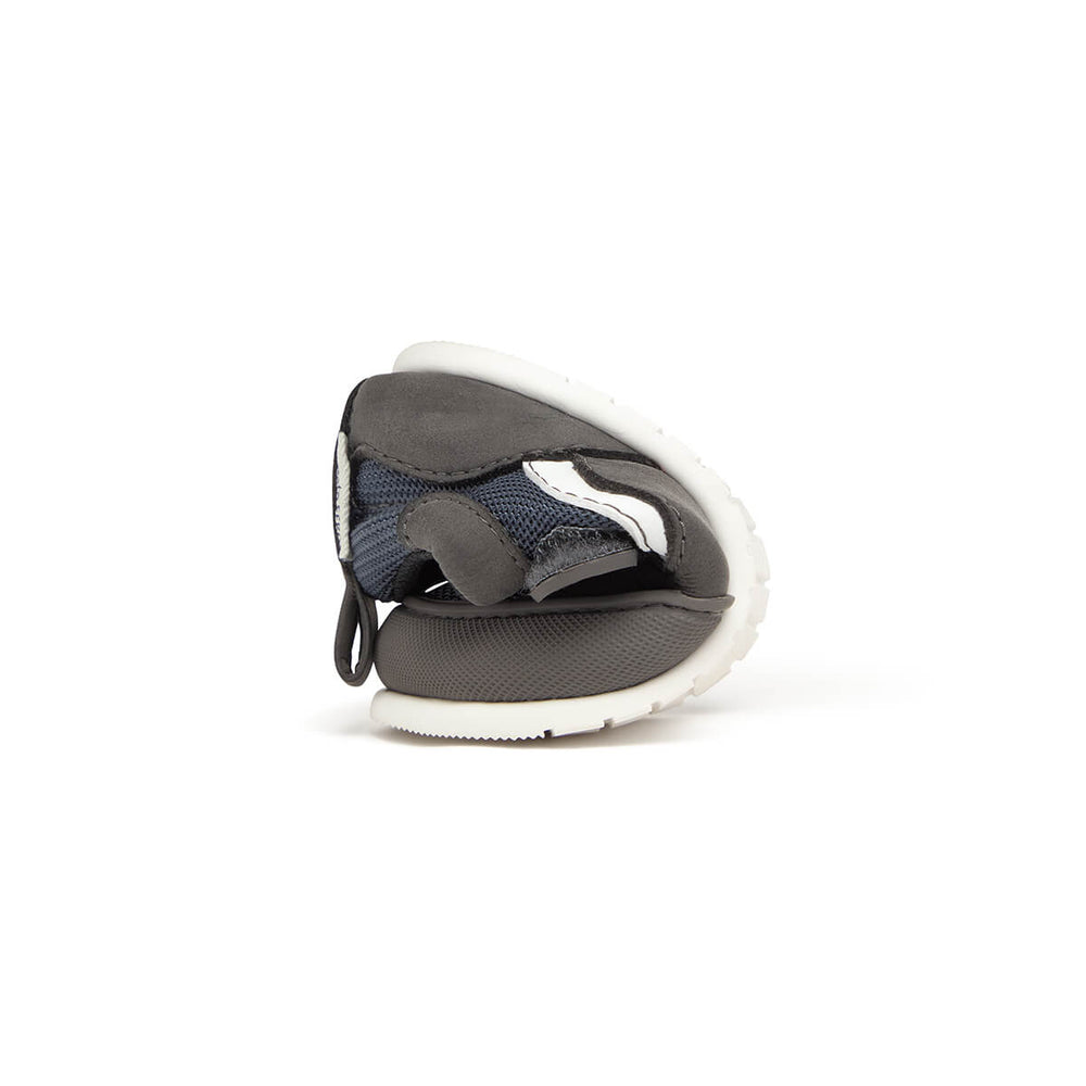 Zapato Feroz Féroces Biar Gris