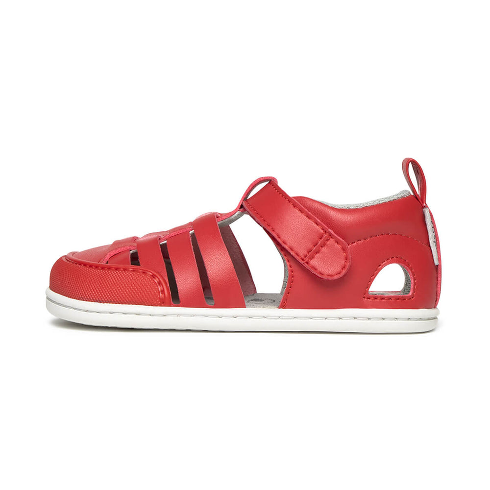 Zapato Feroz Rockers Calpe Rojo