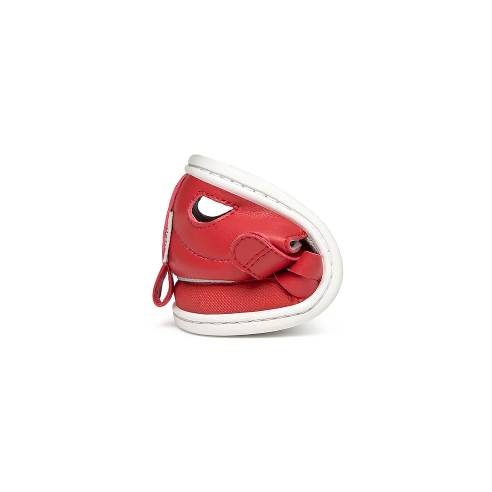 Zapato Feroz Rockers Calpe Rojo