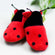 Funky Feet Ladybug