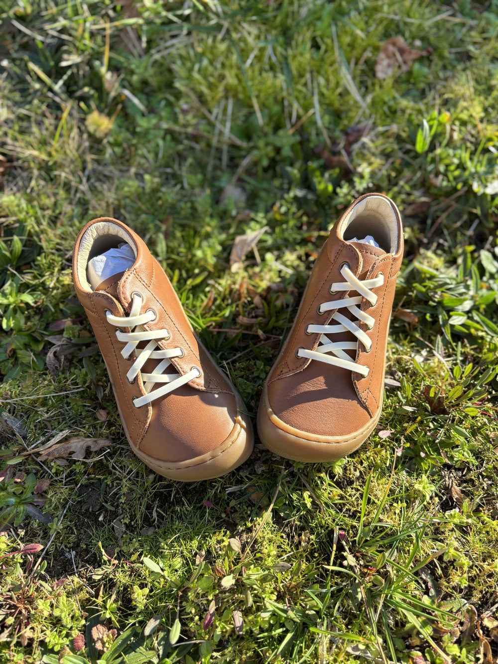 Gorilla Cordones finos Vainilla