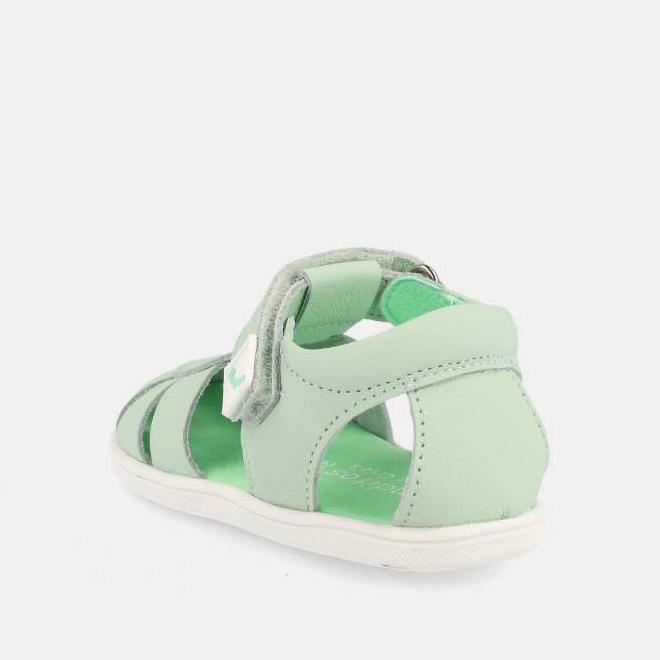 Blanditos India Verde