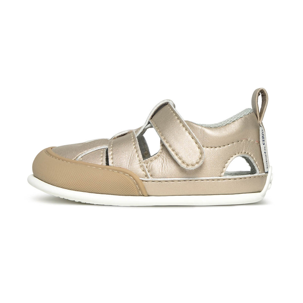 Zapato Feroz Féroces Irta Oro Microfibra