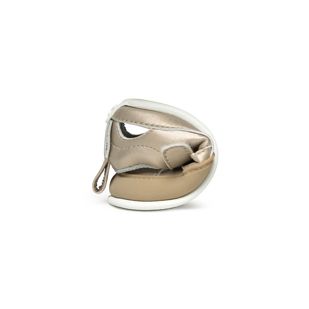 Zapato Feroz Féroces Irta Oro Microfibra