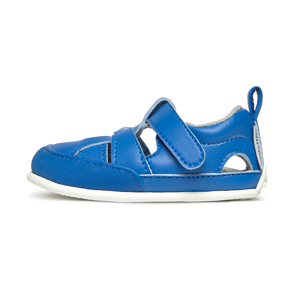 Zapato Feroz Féroces Irta Azul Royal Microfibra