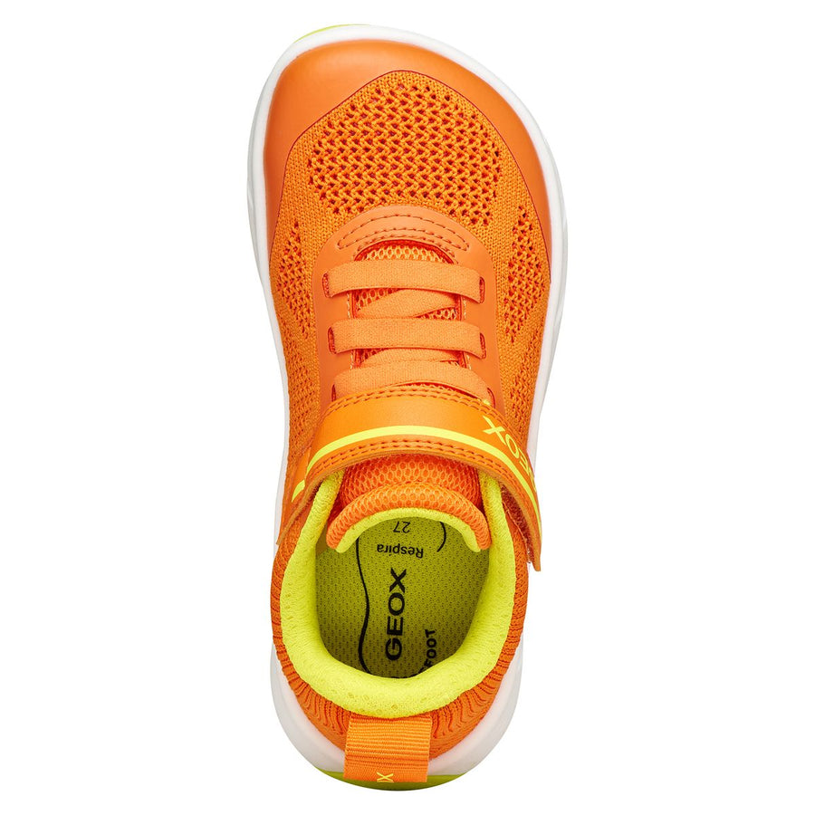 Geox Barefoot Foot Run Orange
