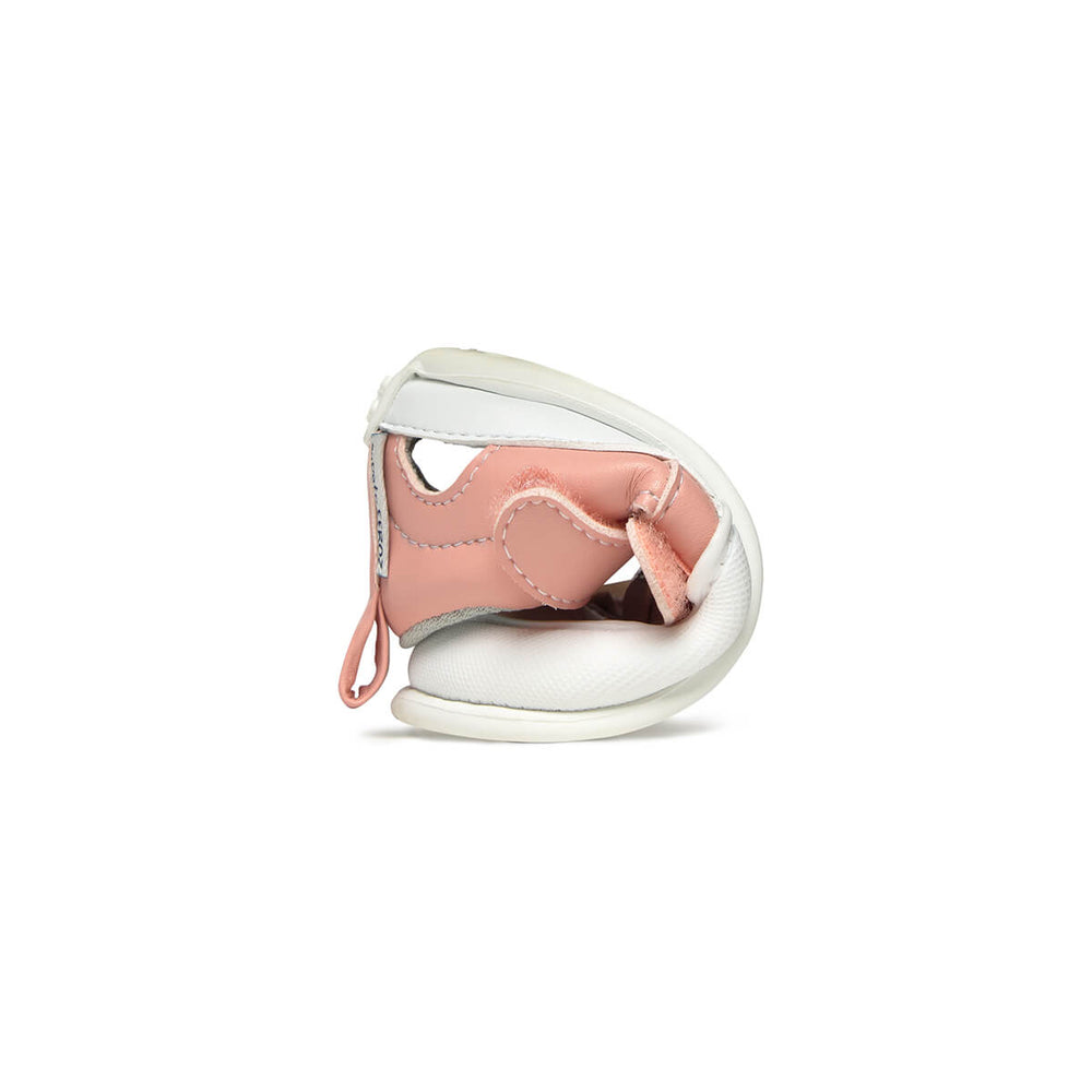Zapato Feroz Féroces Javea Rosa Palo Microfibra