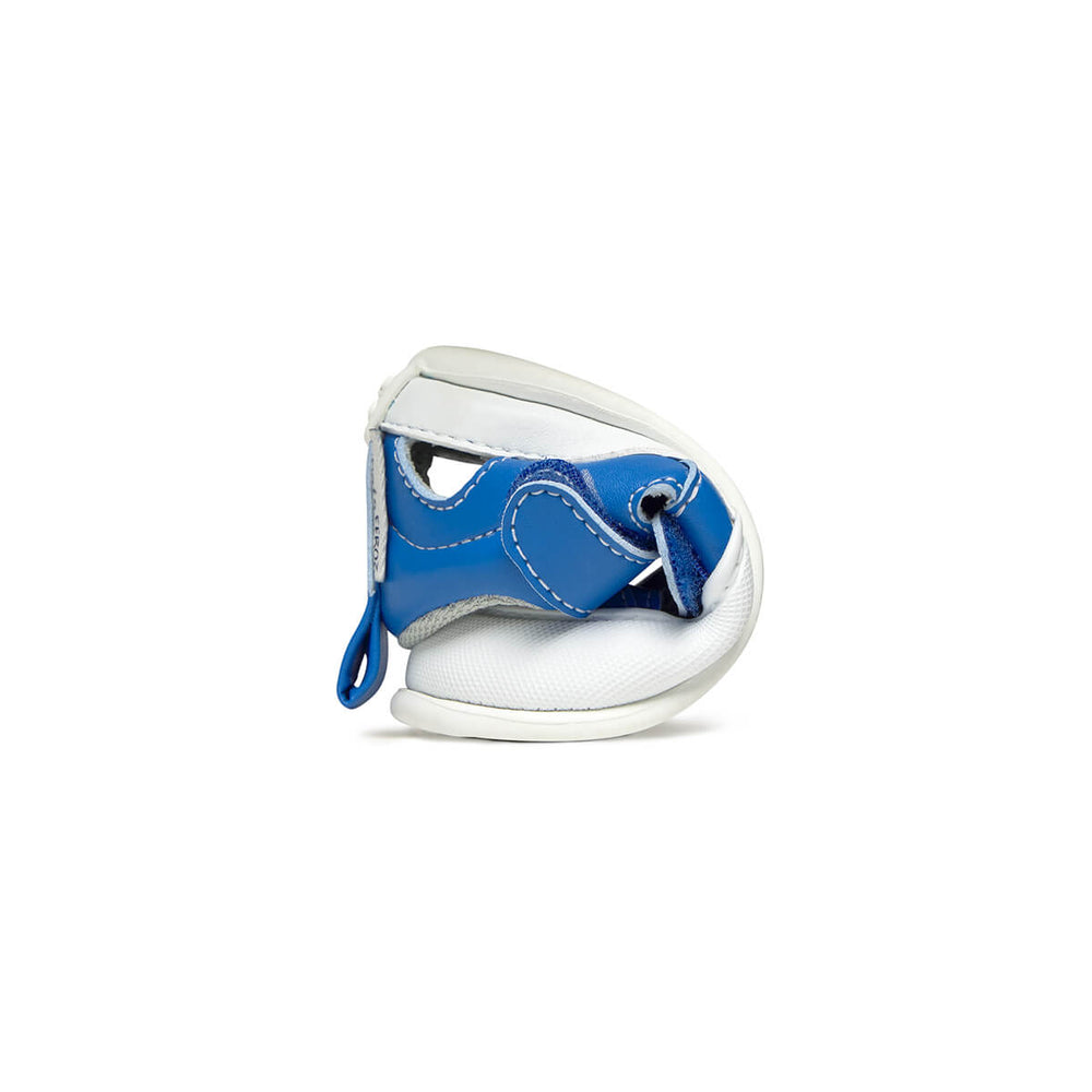 Zapato Feroz Feroz Javea Azul Royal Microfibra
