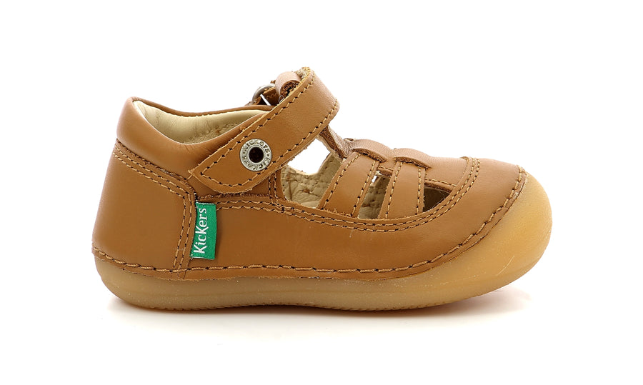 Kickers Sushy Camel Claro