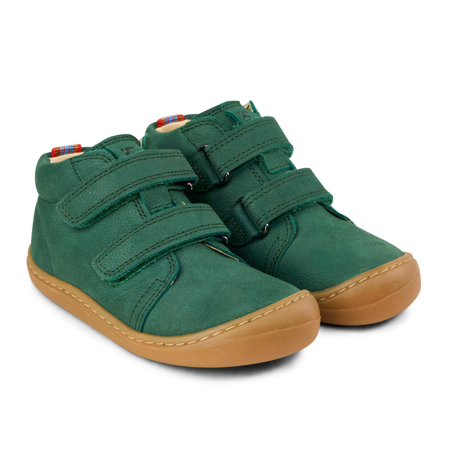 Koel Barefoot Bob Green