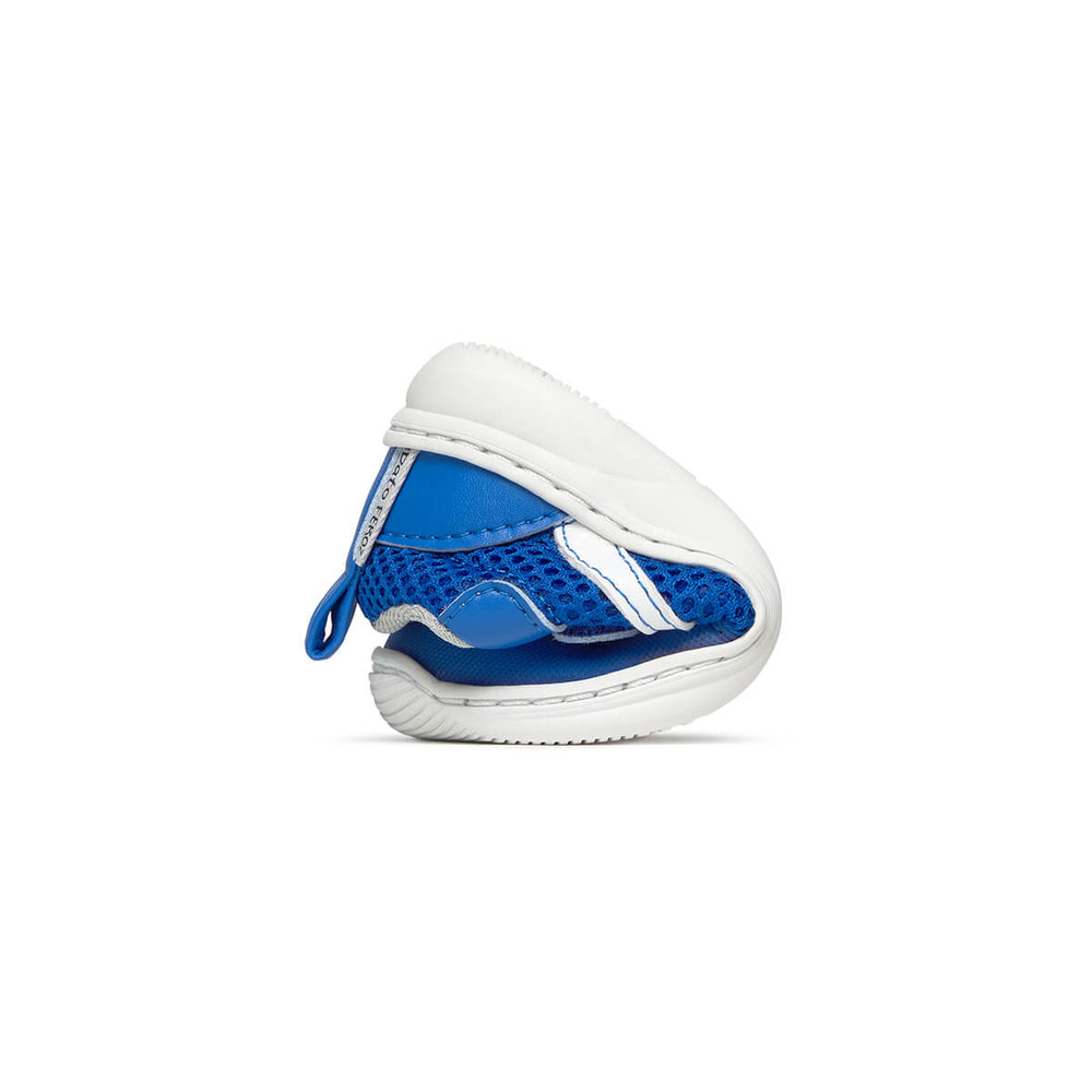 Zapato Feroz Tibi Azul Royal