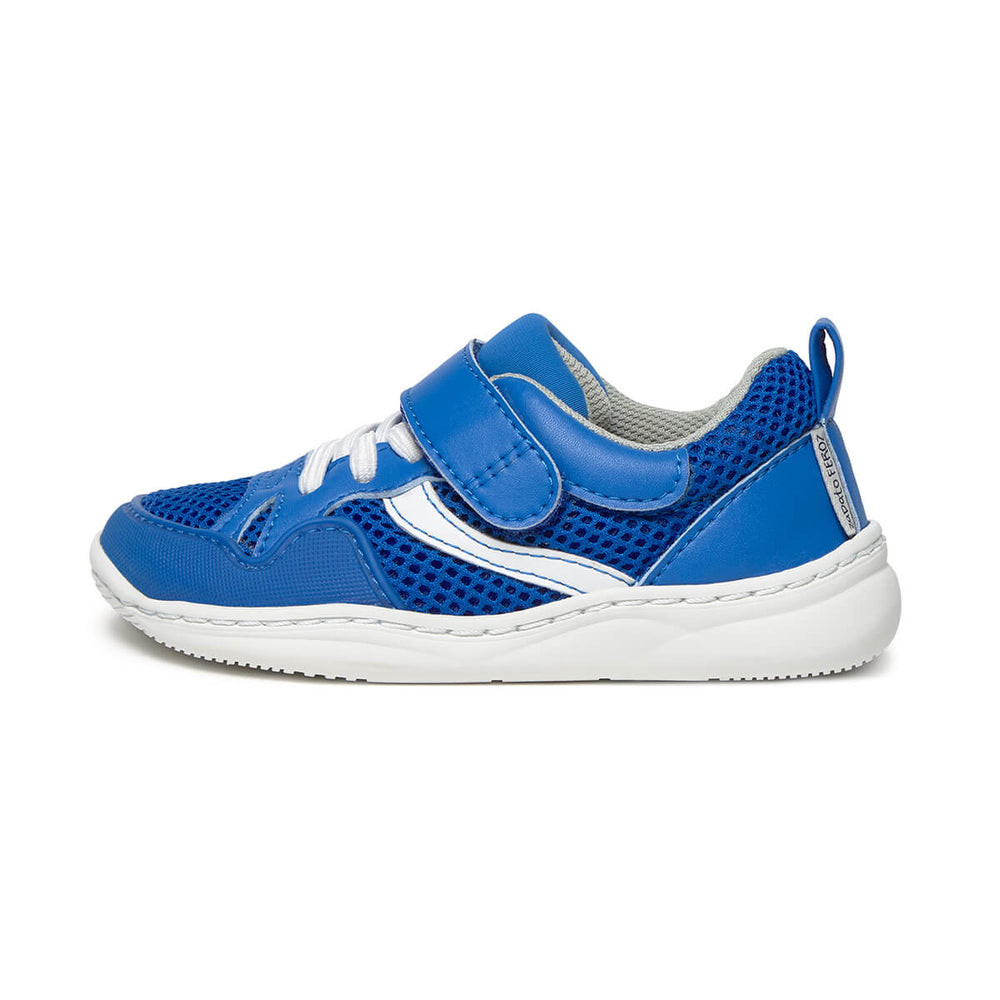 Zapato Feroz Rockers Tibi Azul Royal