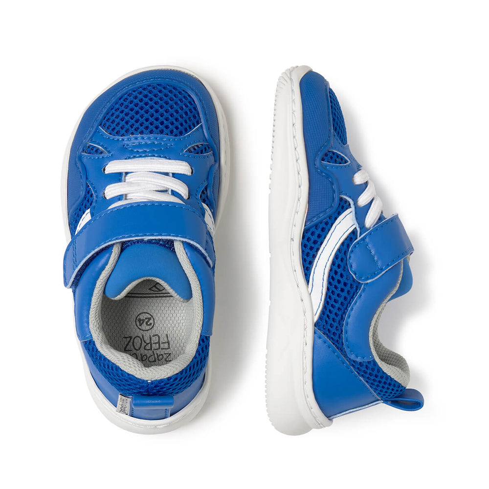 Zapato Feroz Rockers Tibi Azul Royal