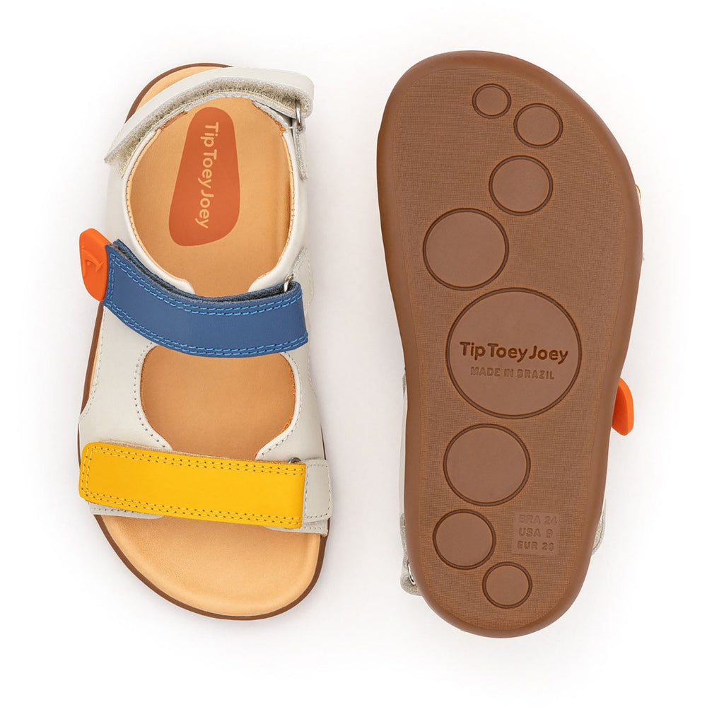 Tip Toey Joey Kidos Explorer Tapioca Caja Blue Tang