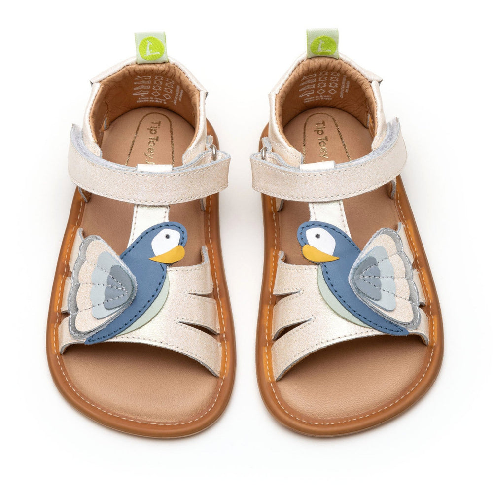 Tip Toey Joey Primeiros Macaw White Dream Mint Denim
