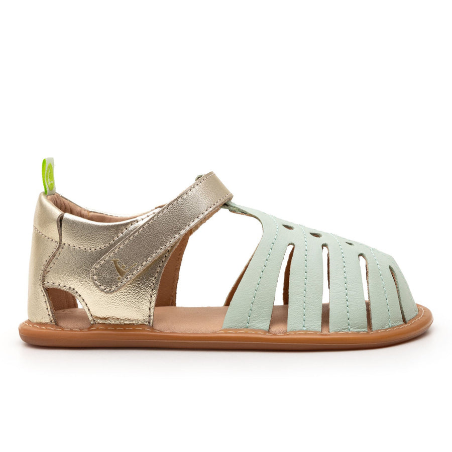 Tip Toey Joey Primeiros Tropically Mint Champagne