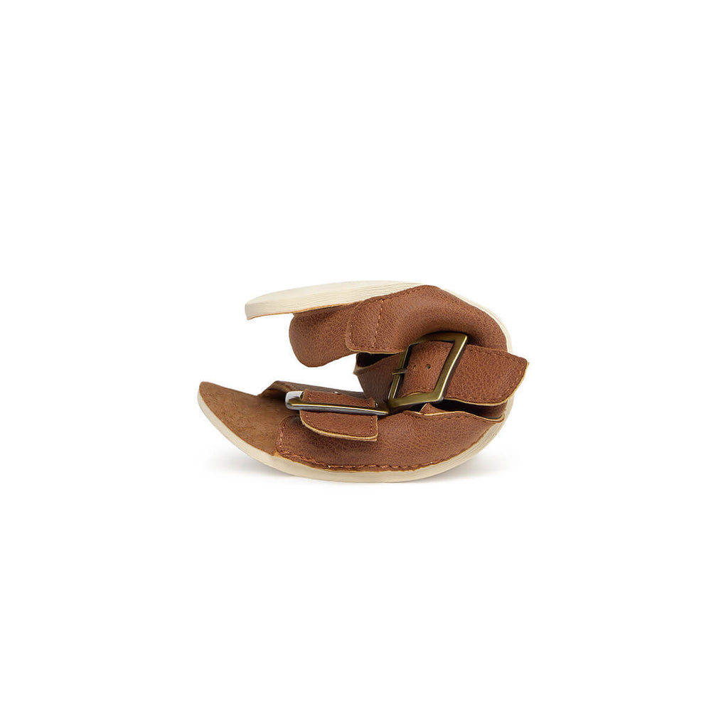 Zapato Feroz Adulto Saler Nut Microfibra Serraje