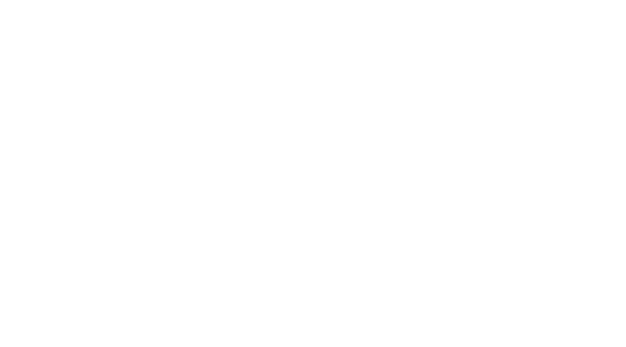 Logo Bisgaard