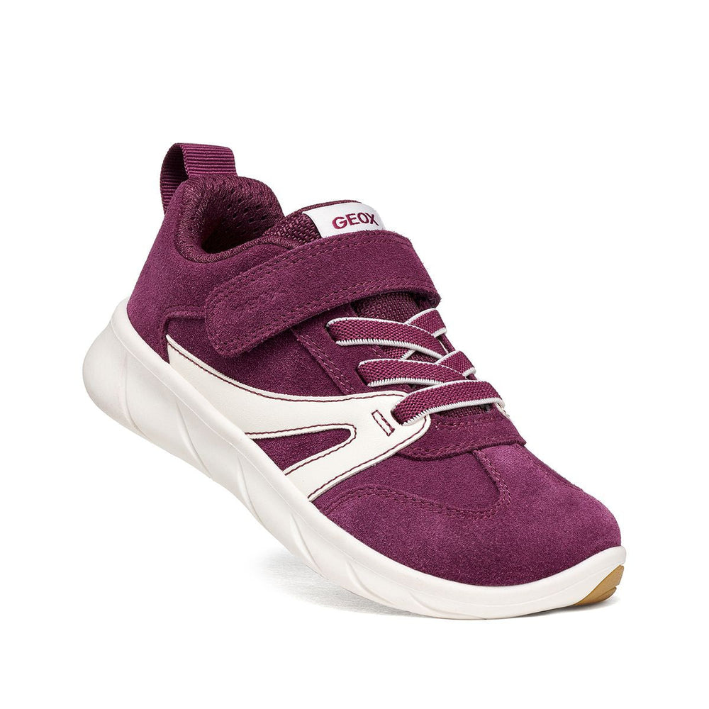 Geox Barefoot Sport Run Dk Purple White
