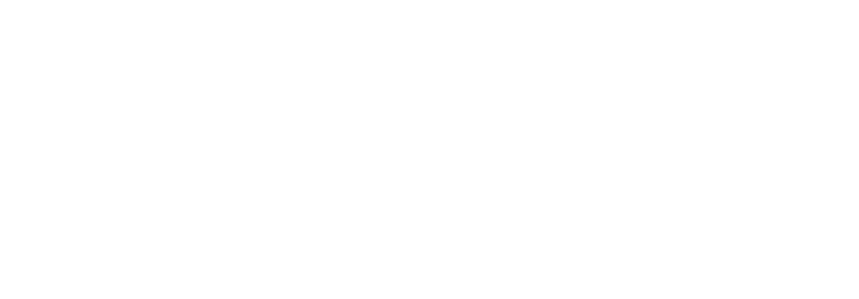 Logo Boatilus