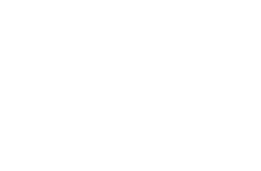 Logo Piruflex
