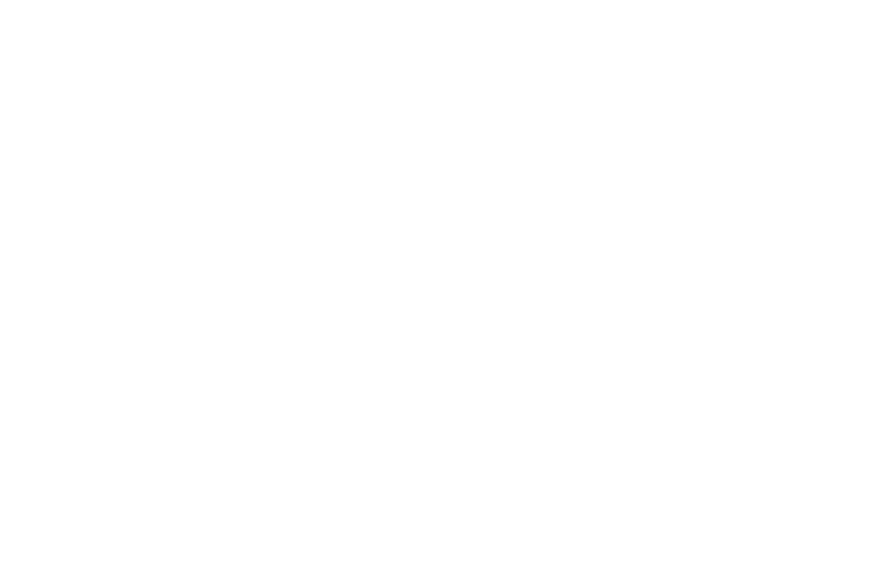 Logo Naw
