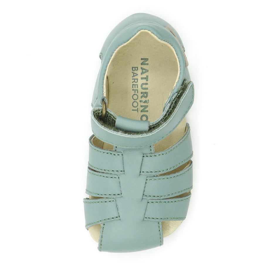 Naturino Barefoot Seerec Salvia