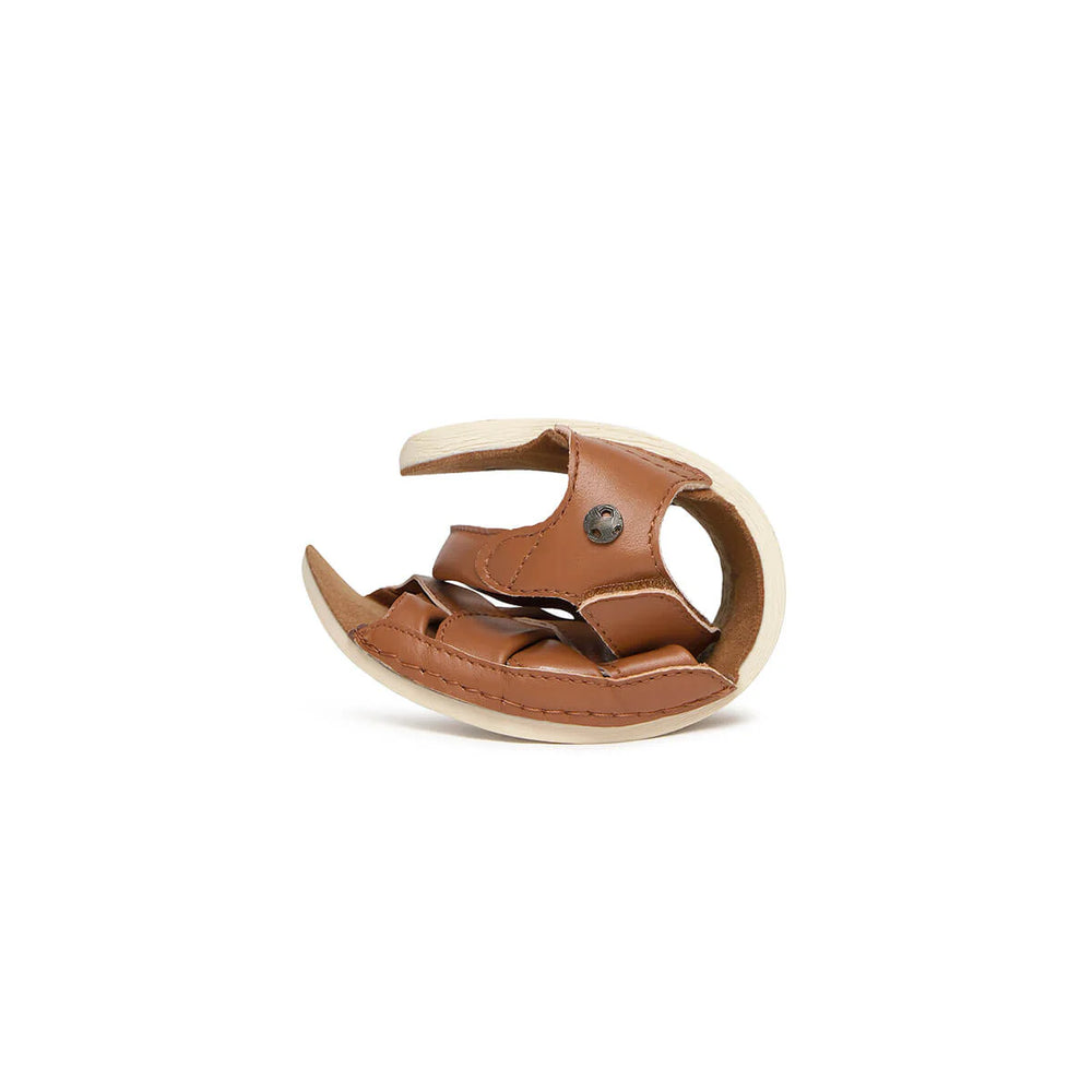 Zapato Feroz Adulto Freekers Gandia Nut Serraje